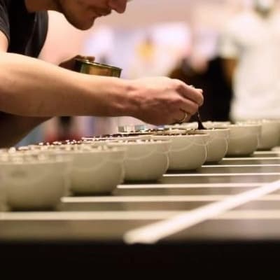 Каптестер года