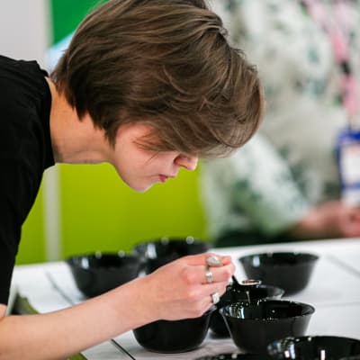 Дегустация чая